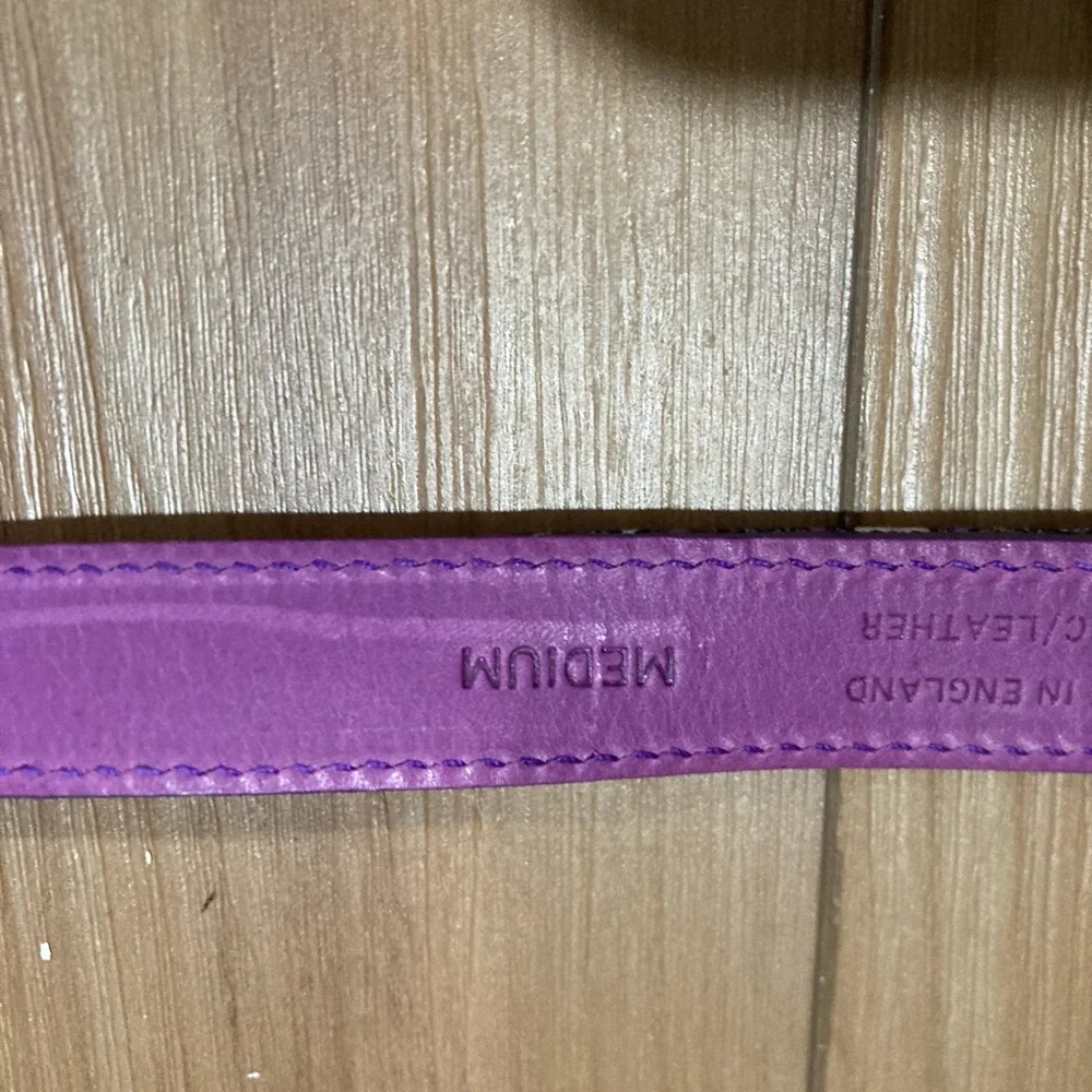 Pooch Couture made in England Leather Pet Collar Size Medium
